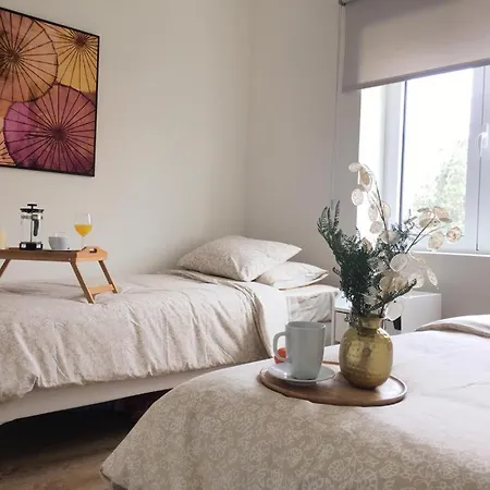 Lujoso En Lejlighed *